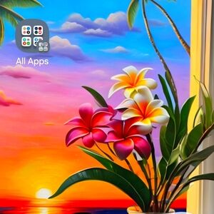 Curvy clothes xl and 1x starting  $5 $10 and $15